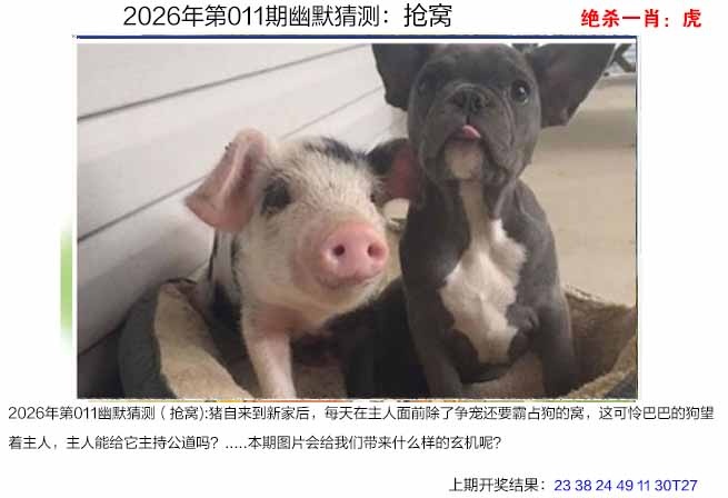 011期幽默猜测[图]