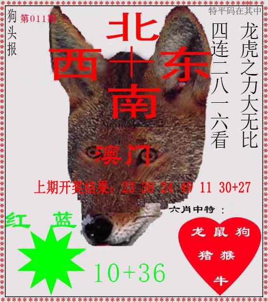 011期狗头报[图]