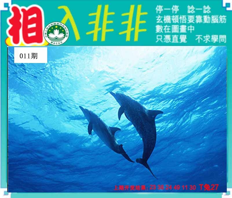 011期相入非非[图]