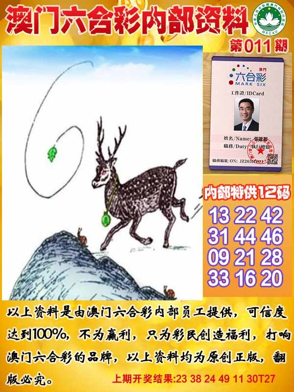 011期六合内部资料[图]