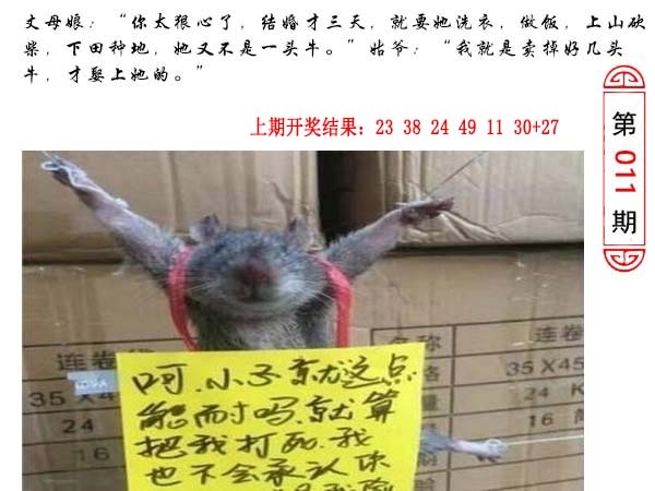 011期澳门生活幽默[图]