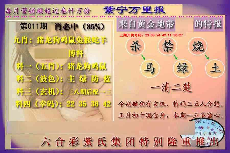 011期万里报[图]