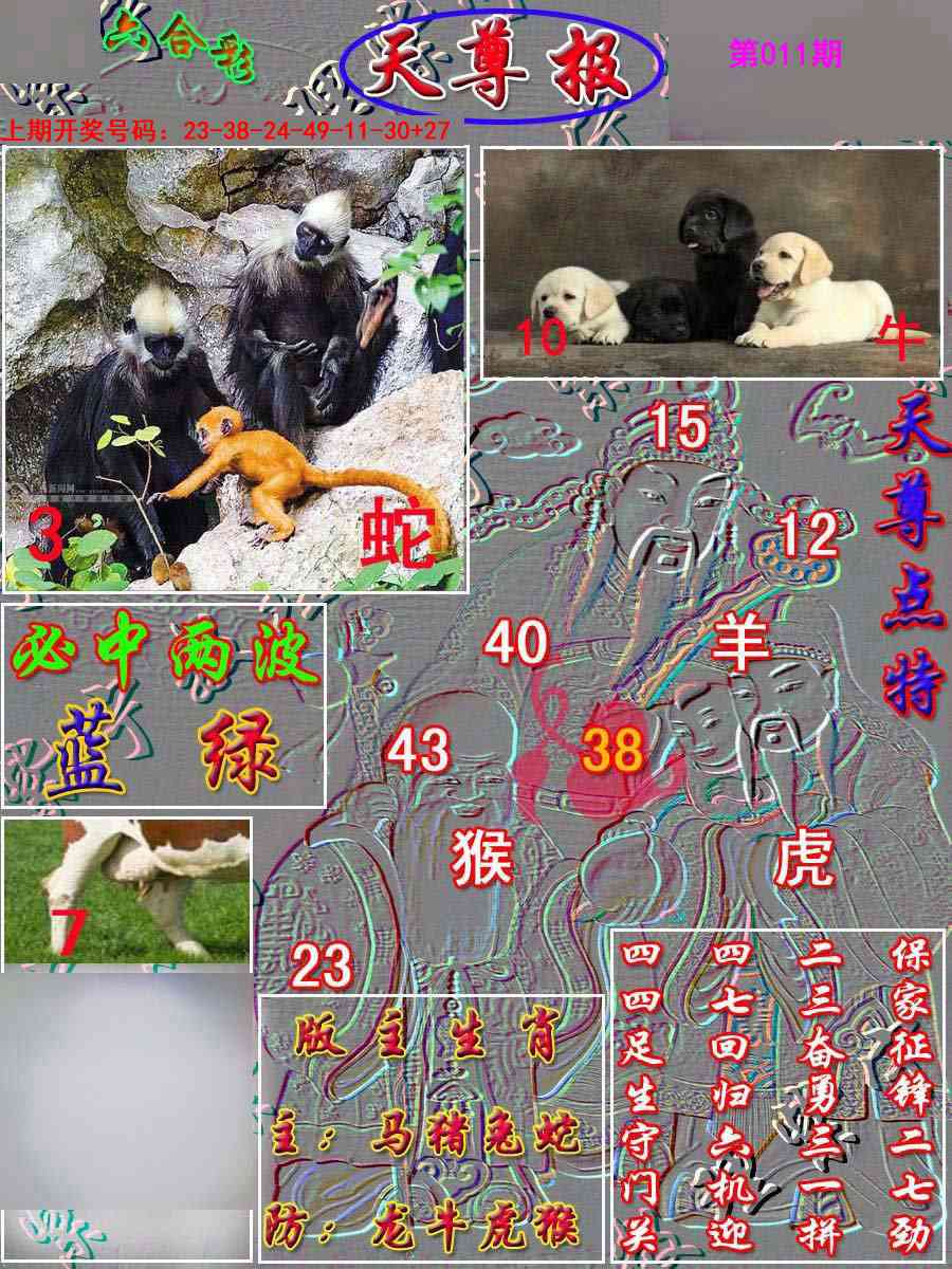 011期天尊报[图]