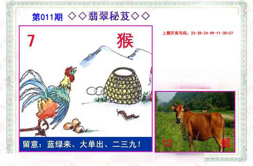 011期翡翠报[图]