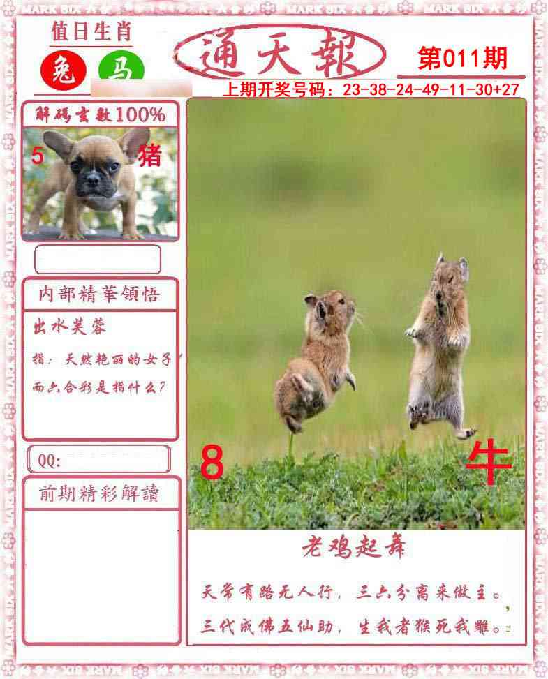 011期正版通天报[图]
