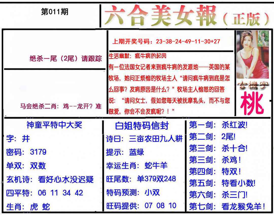 011期美女报[图]