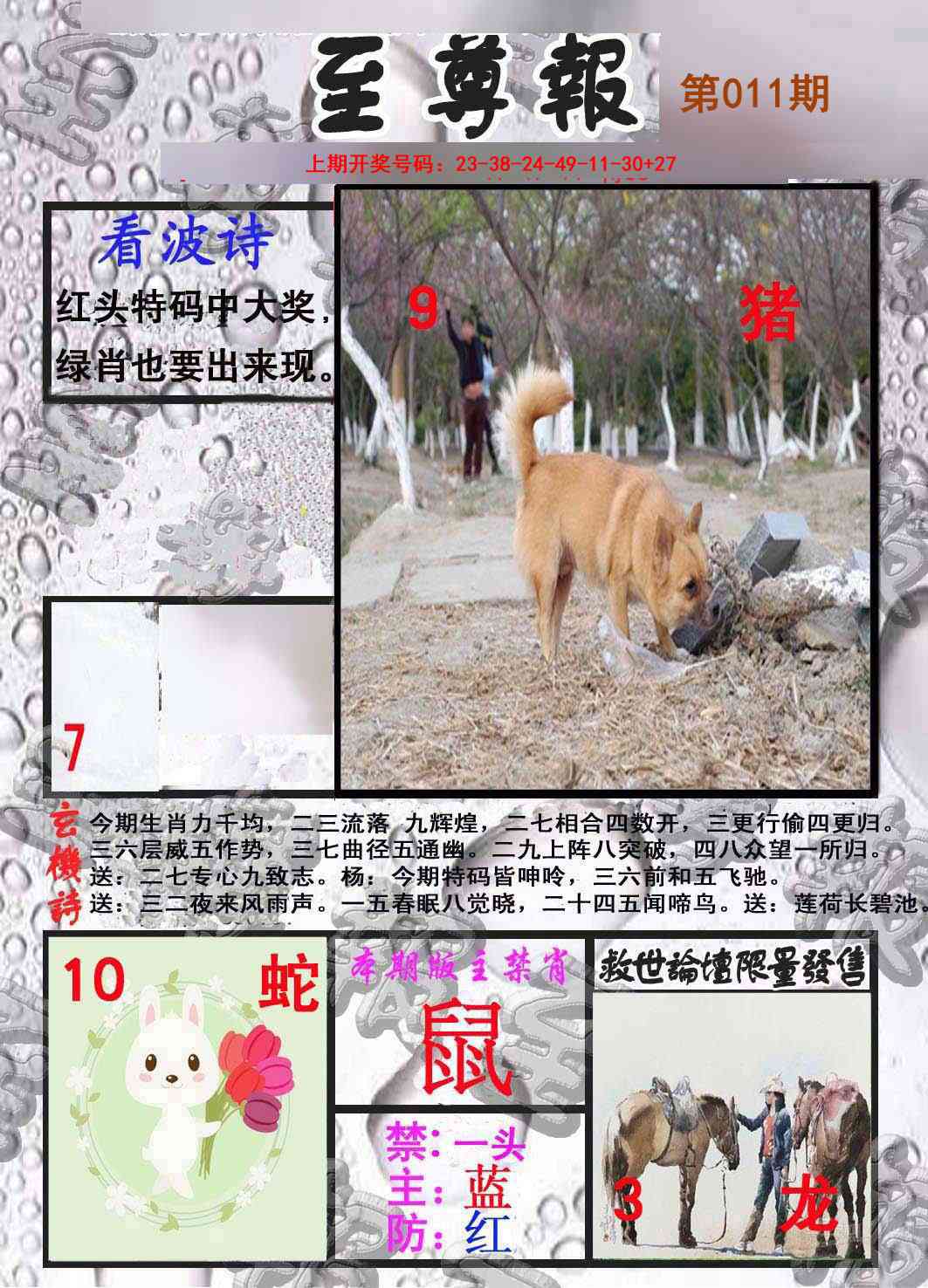 011期至尊报[图]