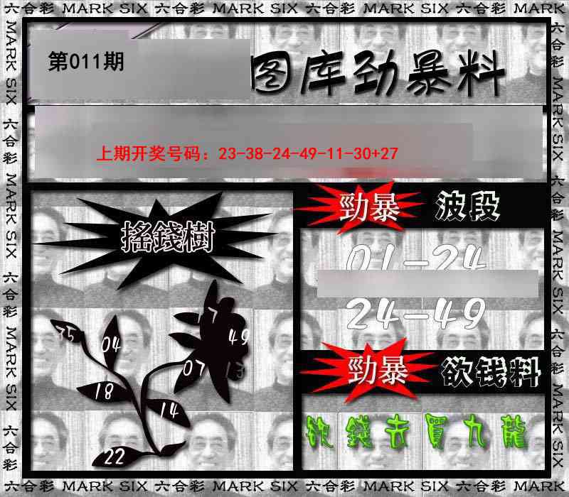 011期劲暴来料[图]