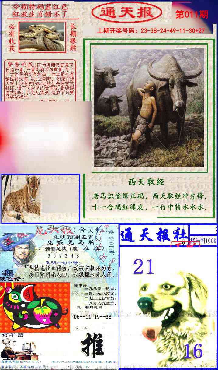 011期实力通天报[图]