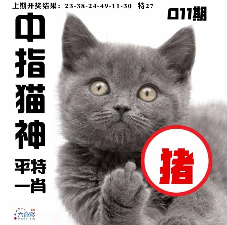 011期中指猫神[图]