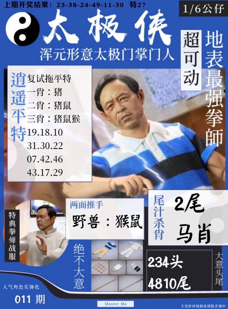 011期太极侠[图]